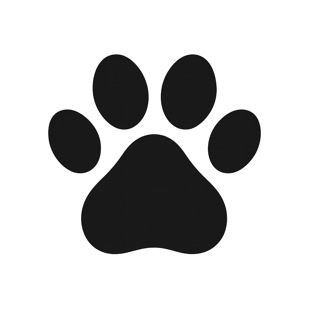 TIBO DOG CHANNEL